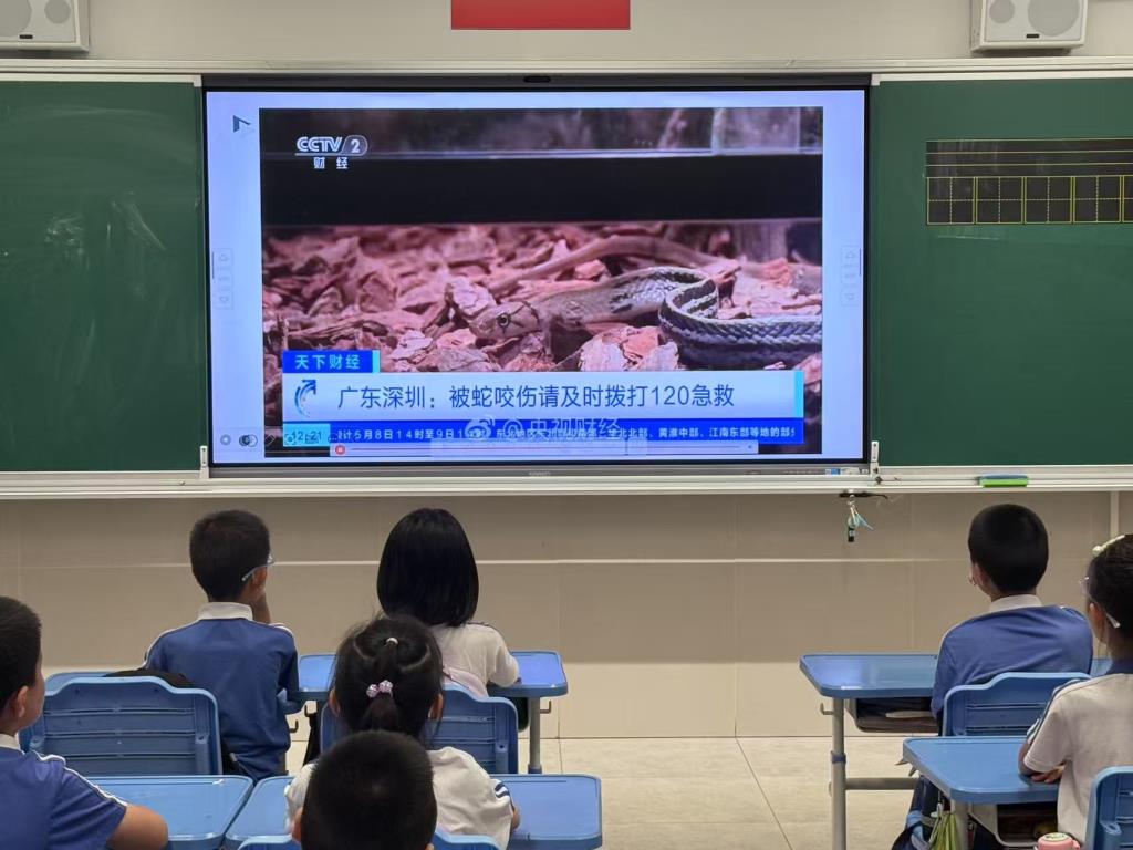 深圳市水库小学开展趣味假期安全教育主题课