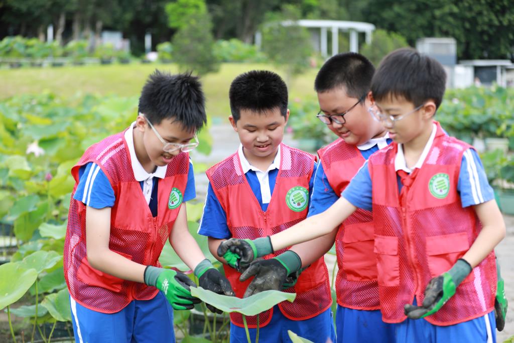 洪湖小学“创意表达公园之美”课程落地