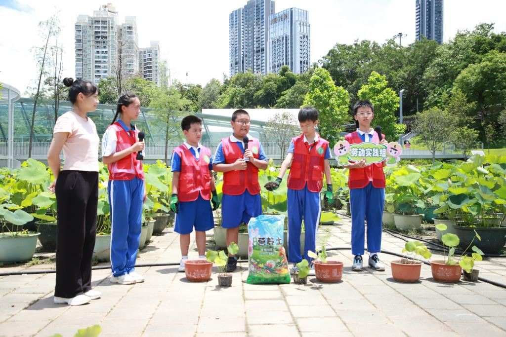 洪湖小学“创意表达公园之美”课程落地