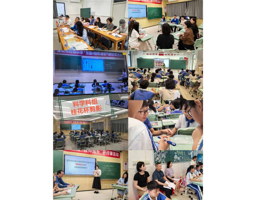 深圳市红桂小学“桂花杯”课堂教学竞赛活动