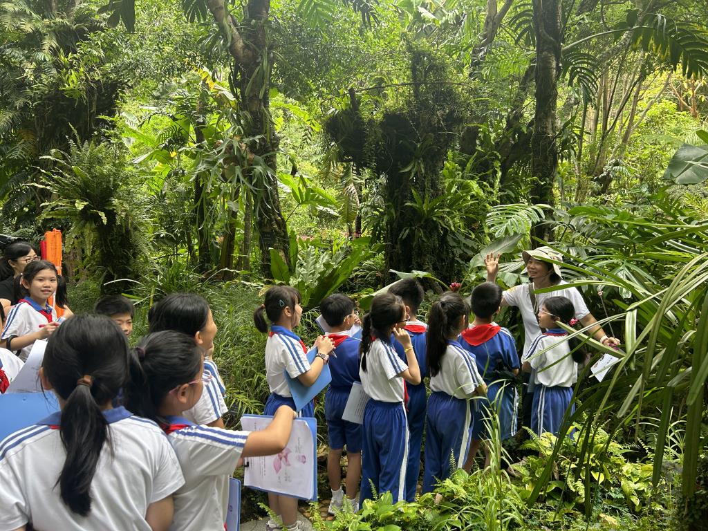 深圳市向西小学“美育+劳动”课程绽放幸福教育之花
