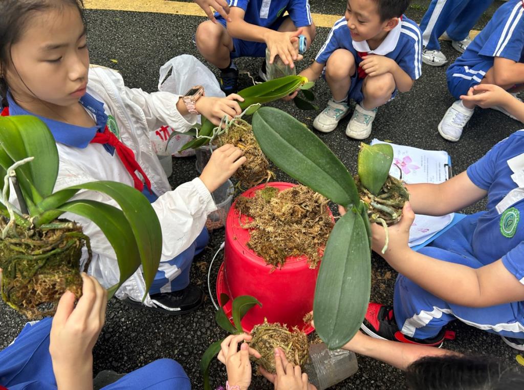 深圳市向西小学“美育+劳动”课程绽放幸福教育之花