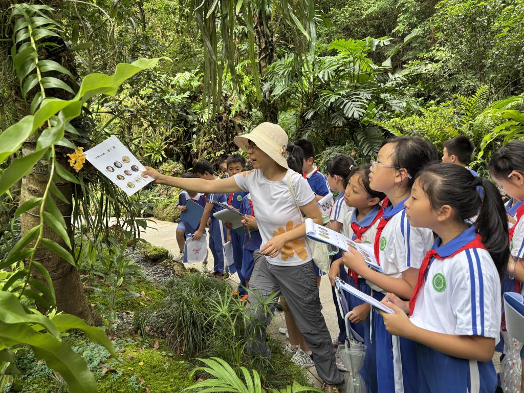 深圳市向西小学“美育+劳动”课程绽放幸福教育之花