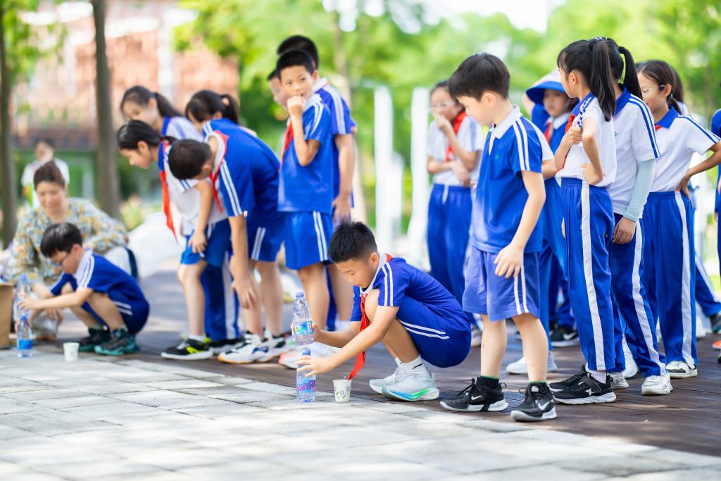 红岭小学·创心课程｜“每周半天计划”之奇妙的“海绵”探索之旅