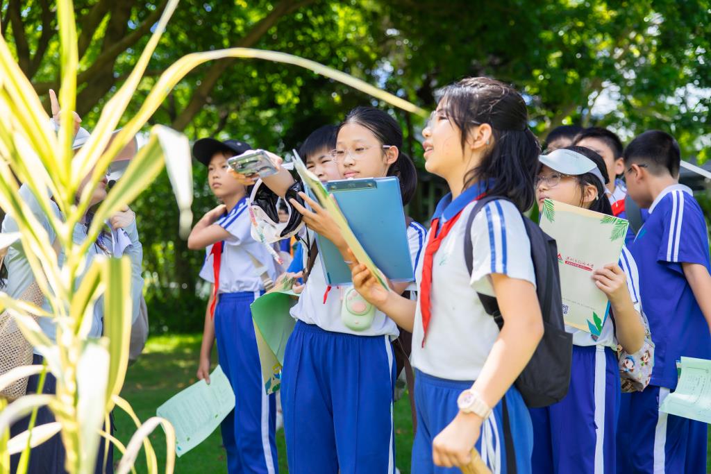 红岭小学·创心课程｜“每周半天计划”之奇妙的“海绵”探索之旅