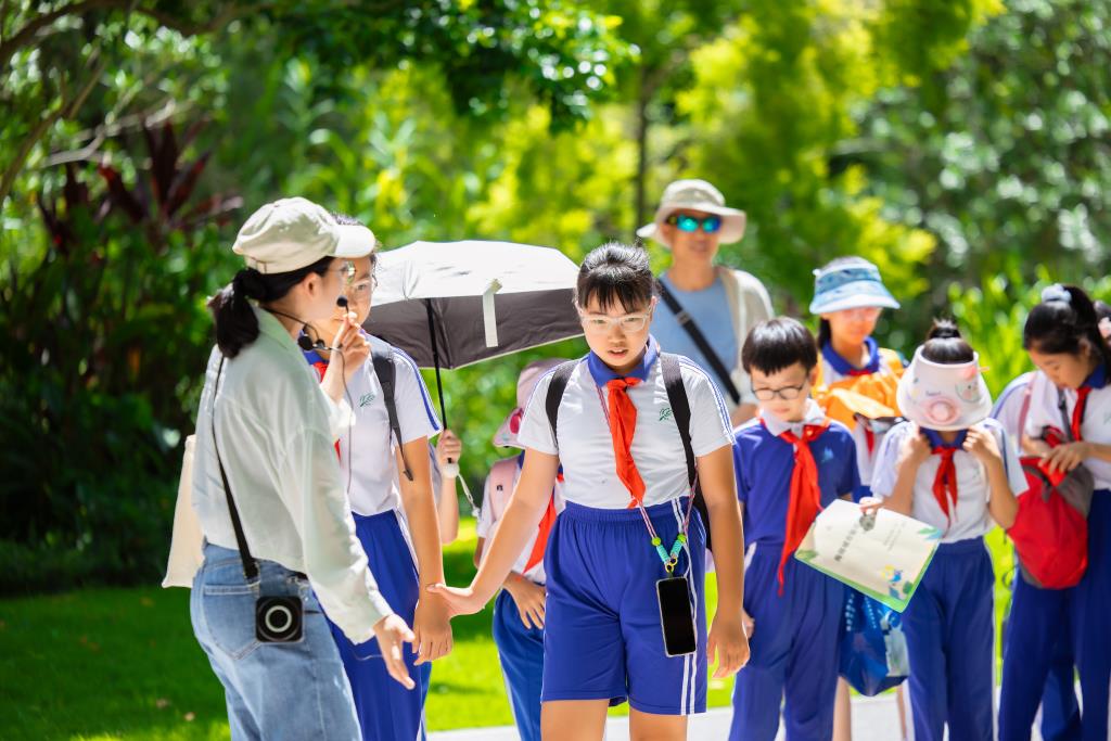 红岭小学·创心课程｜“每周半天计划”之奇妙的“海绵”探索之旅