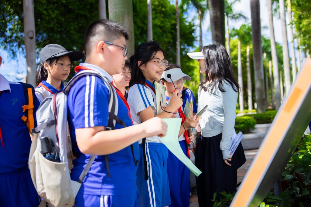 红岭小学·创心课程｜“每周半天计划”之奇妙的“海绵”探索之旅
