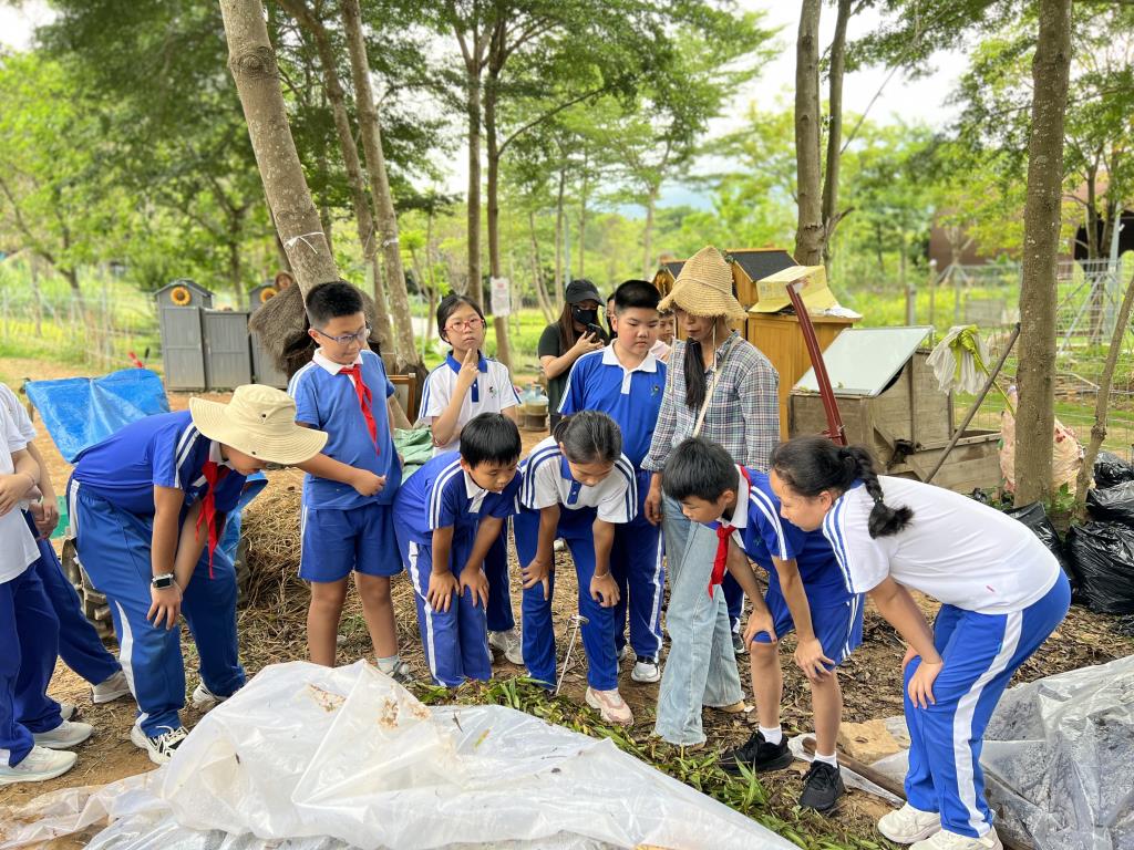 夏雨浇不灭求知热忱 巧手探秘循环生态
