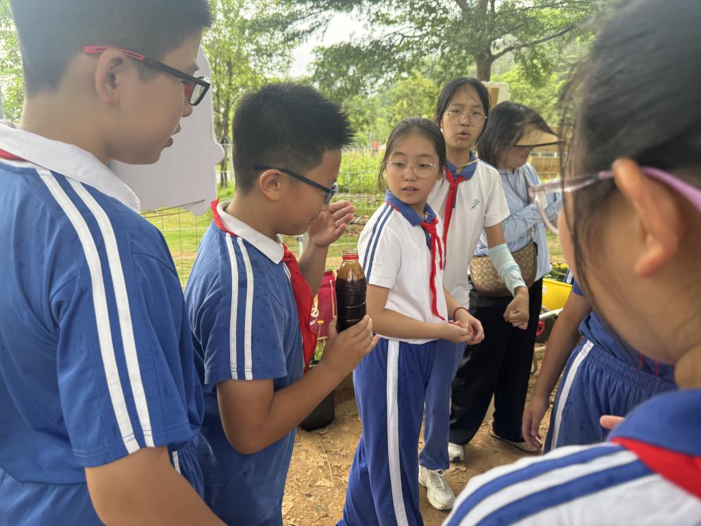 夏雨浇不灭求知热忱 巧手探秘循环生态