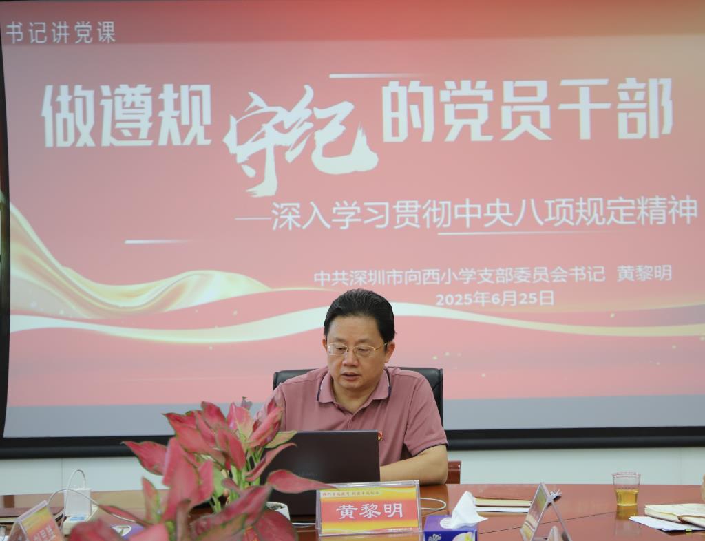 党员大会聚焦换届选举，共绘幸福向西发展蓝图
