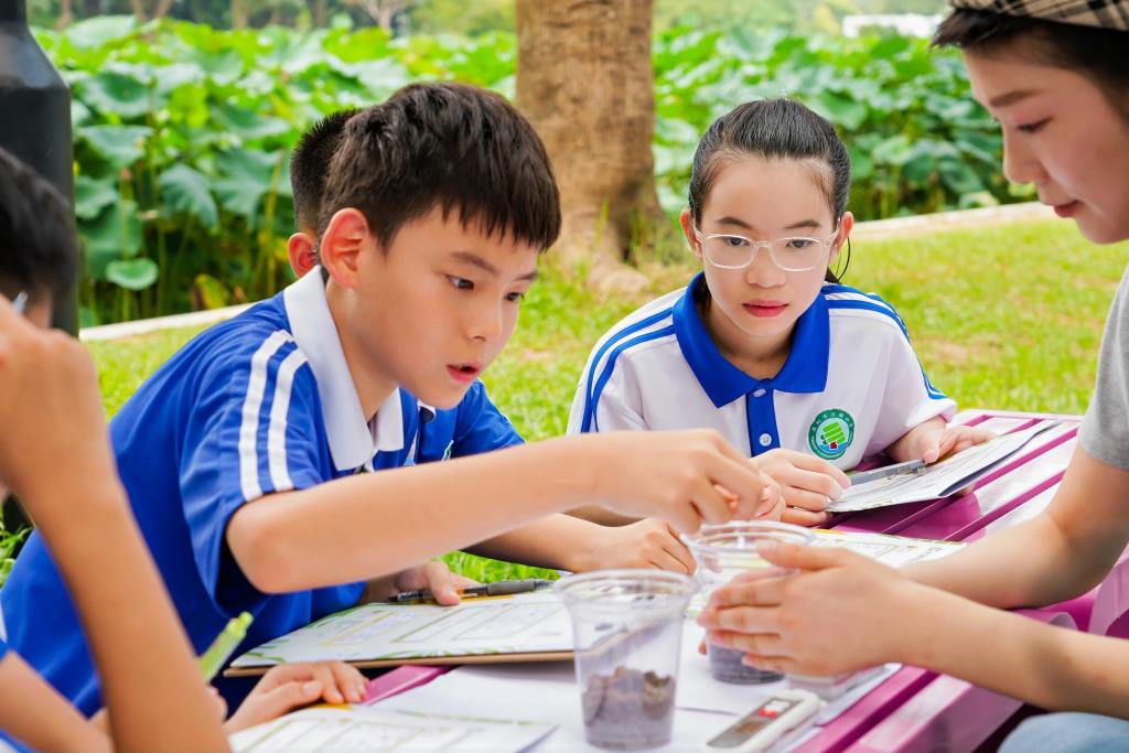 洪湖小学“每周半天计划”生态实践课：探索落叶的绿色新生
