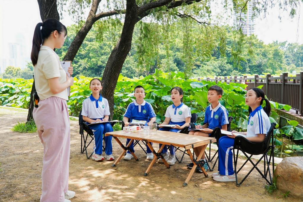 洪湖小学“每周半天计划”生态实践课：探索落叶的绿色新生