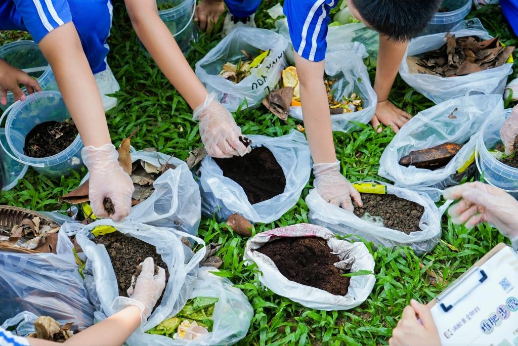 洪湖小学“每周半天计划”生态实践课：探索落叶的绿色新生