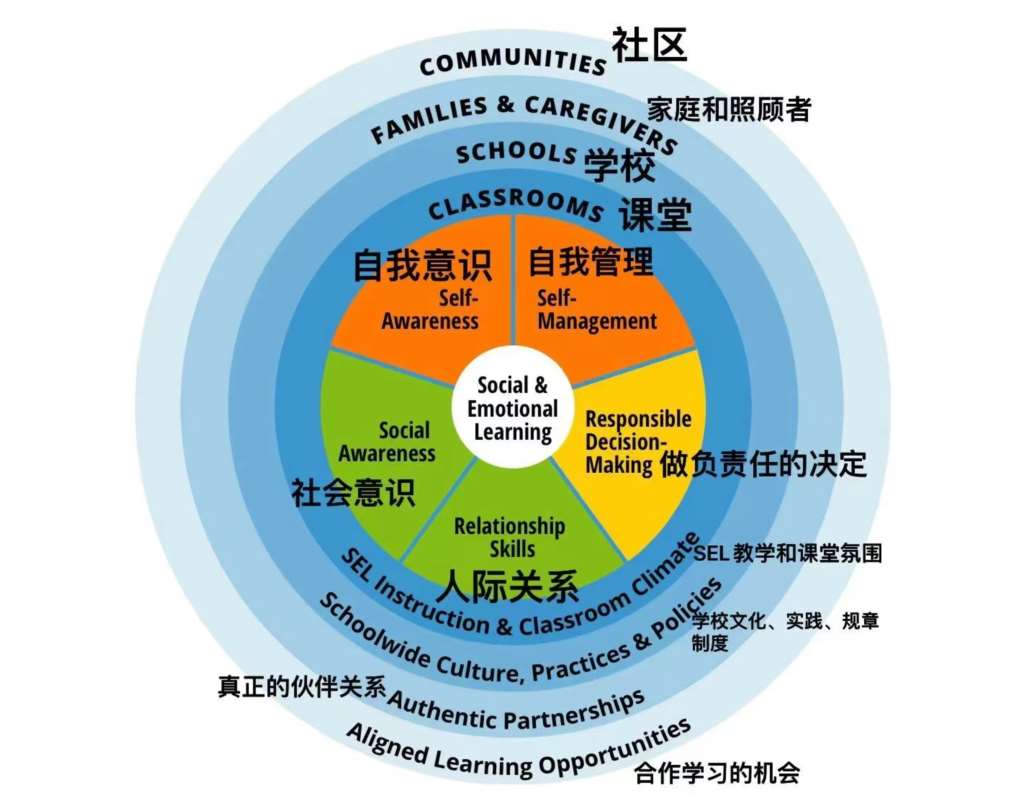 社会与情感能力结构图