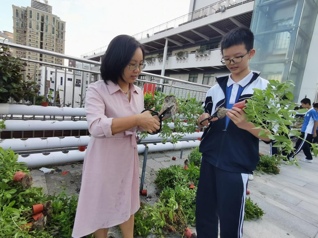 教研赋能启新程，双科摘誉证初心