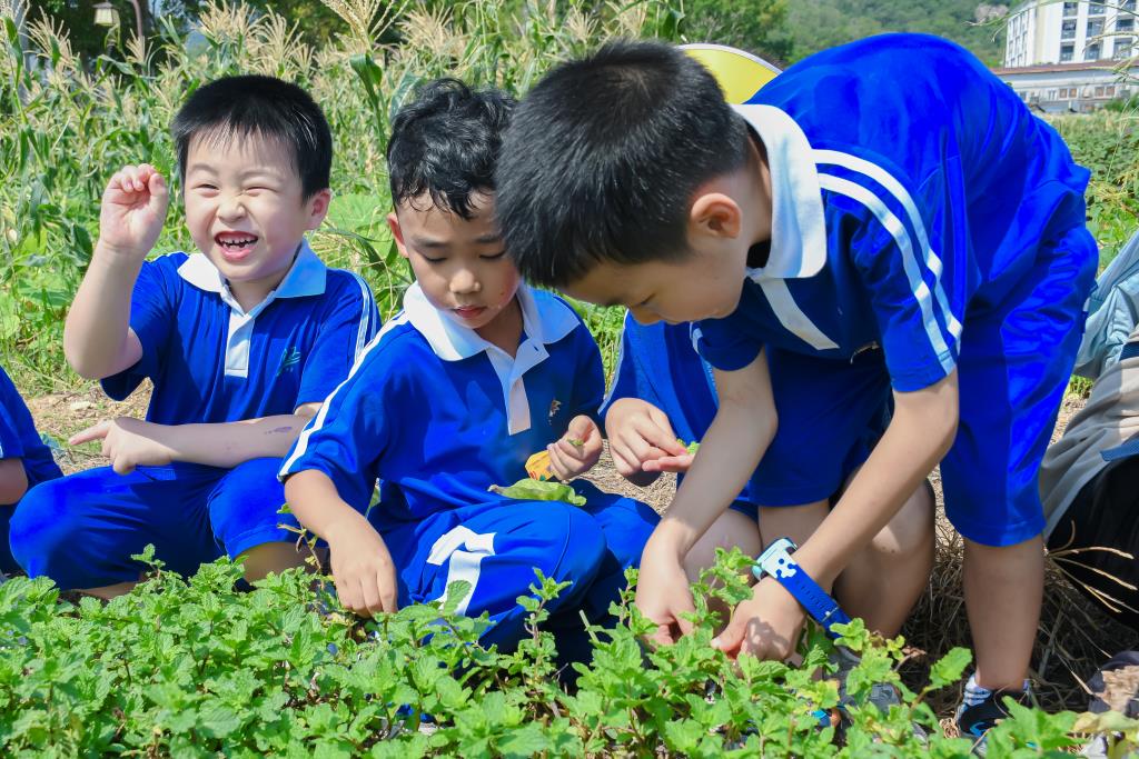 四季滨海乐享劳动，童心慧眼智见未来