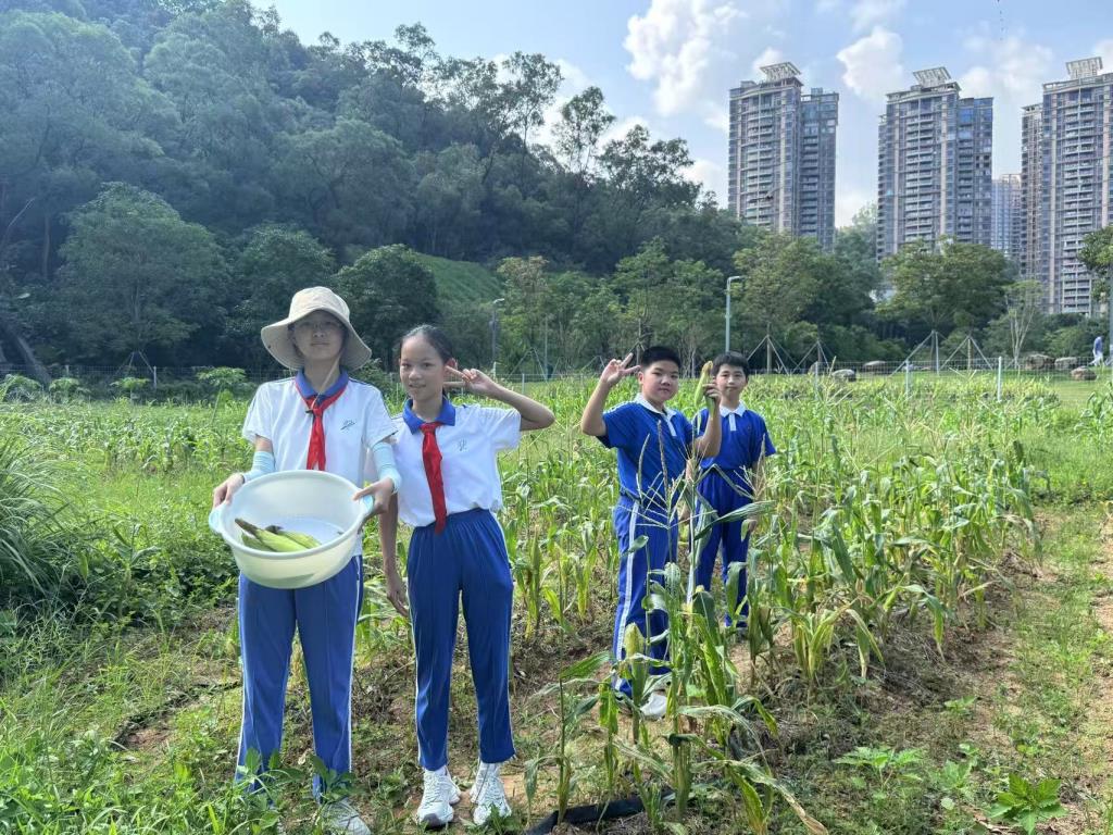 秋收新启程，劳动育新篇