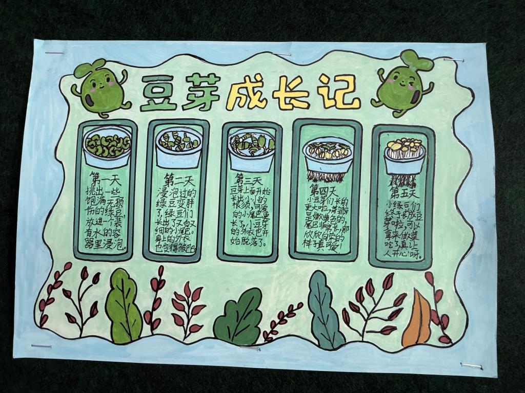 深圳市水库小学三年级“小水滴”成长拓维课程主题一活动纪实