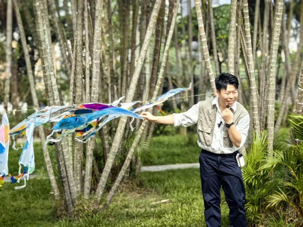 作品展示