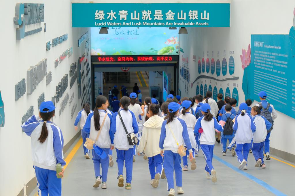 洪湖水质净化厂实践