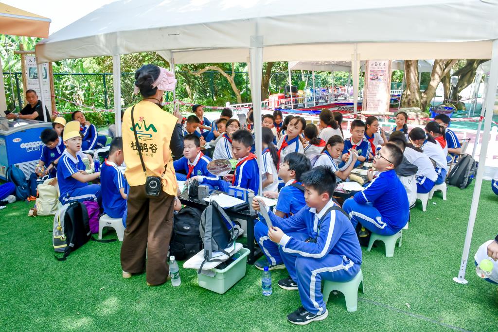洪湖学子探秘园山风景区，捕捉 “空气维生素”， 解锁自然密码