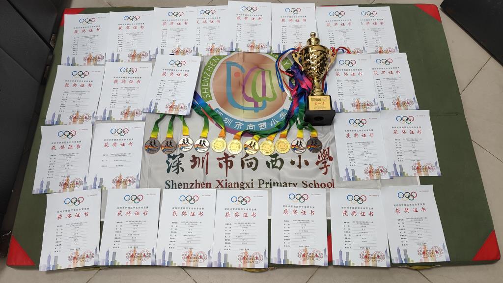 赛场燃情展风采   向西健儿创佳绩