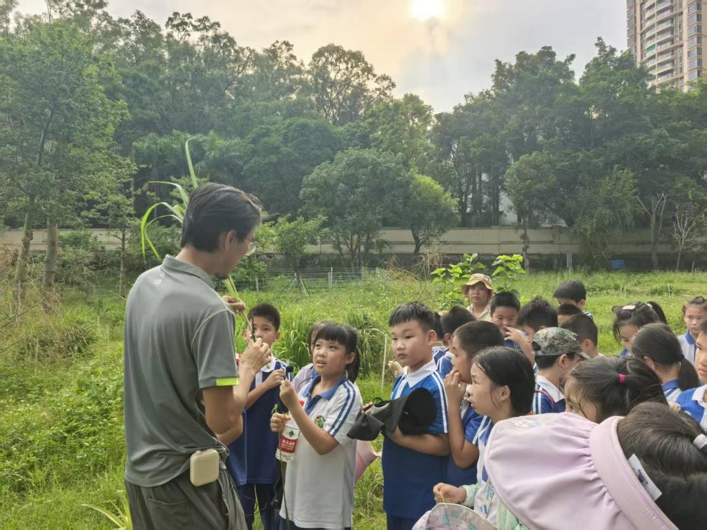 实践育人之花别样绽放