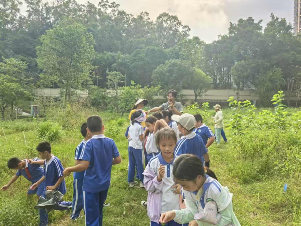 实践育人之花别样绽放