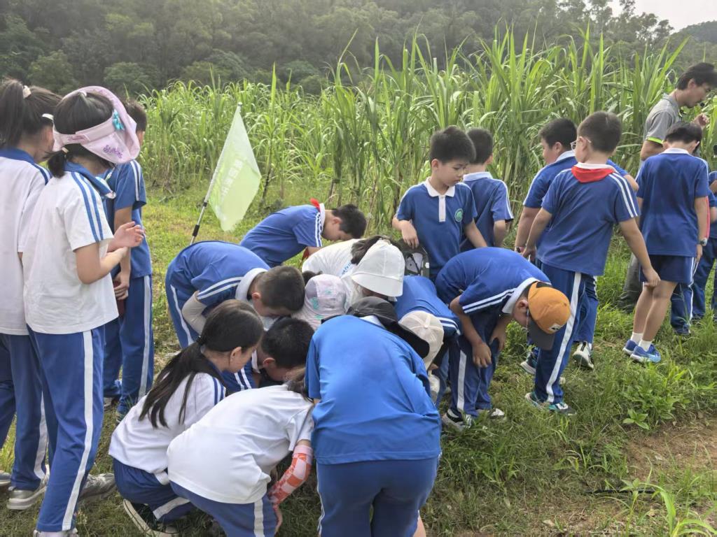 实践育人之花别样绽放