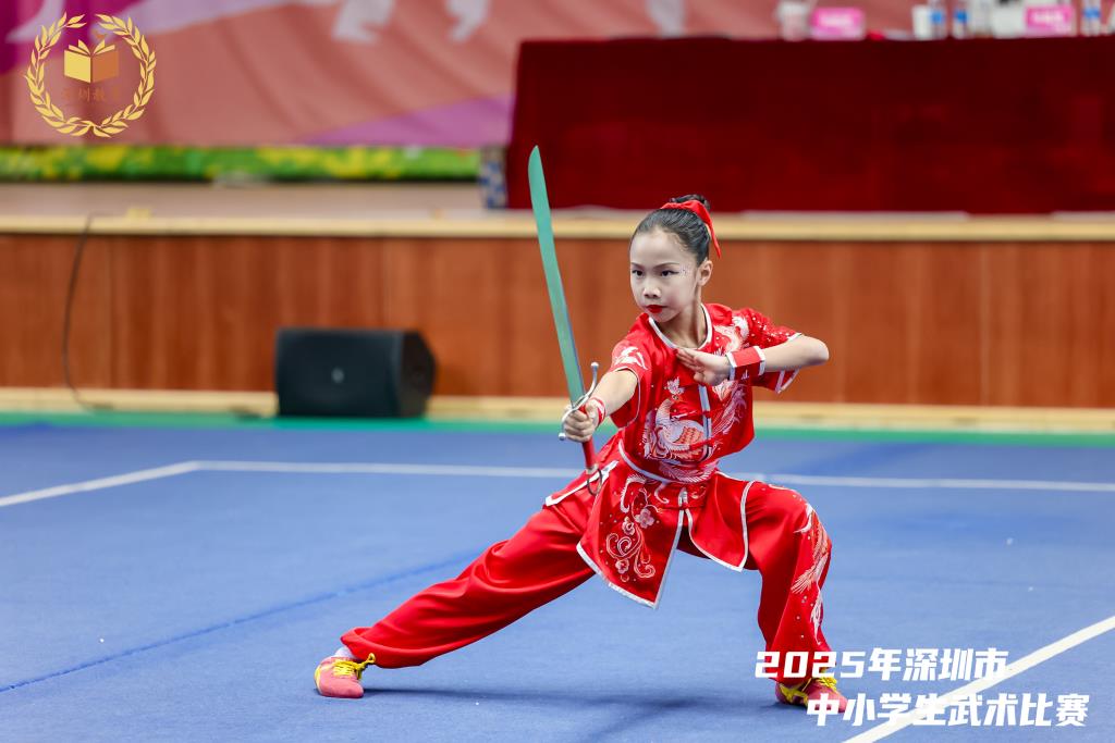 桂园小学武术队获市赛第二名佳绩