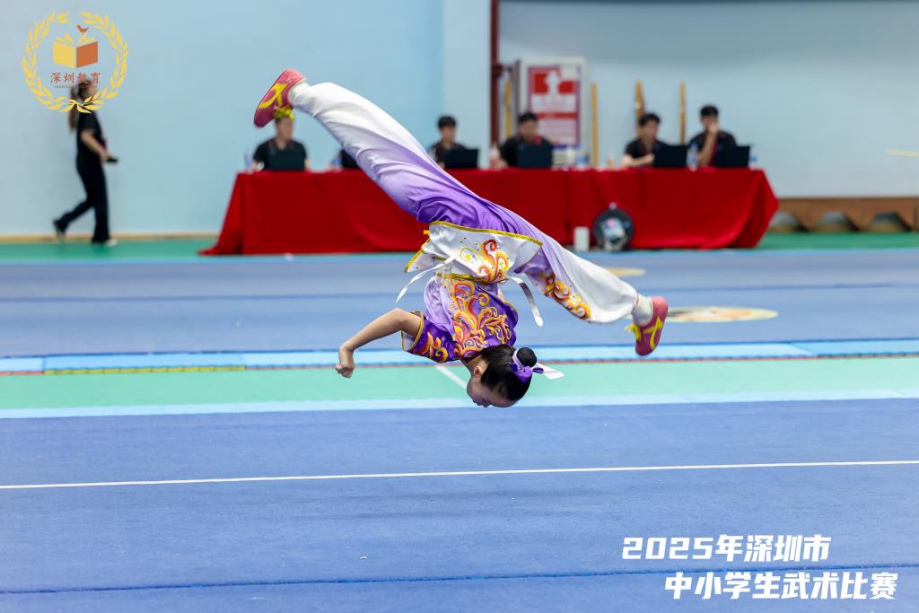 桂园小学武术队获市赛第二名佳绩