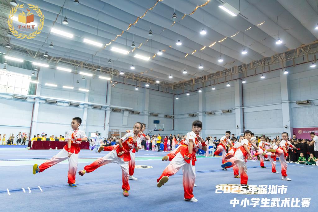 桂园小学武术队获市赛第二名佳绩