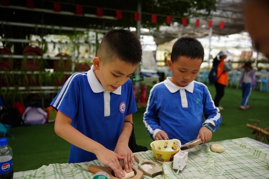 深圳市莲南教育集团安芳小学开展秋季社会实践活动