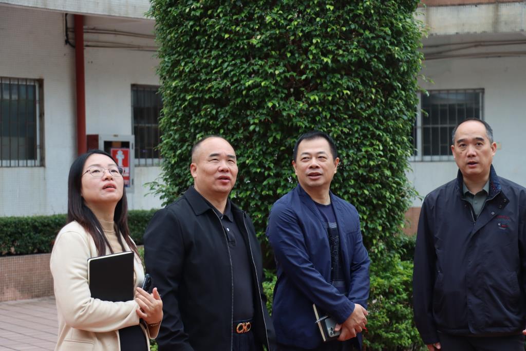 区教育局领导莅临太白实验学校指导工作