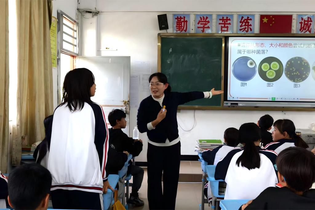 活动