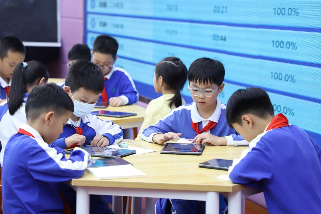 红岭小学·慧心课程｜智慧启航 数学探秘