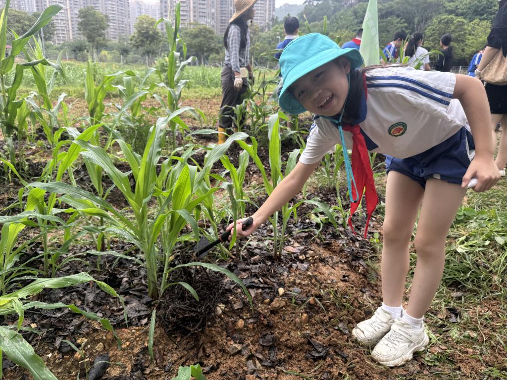 金秋读蔬荟