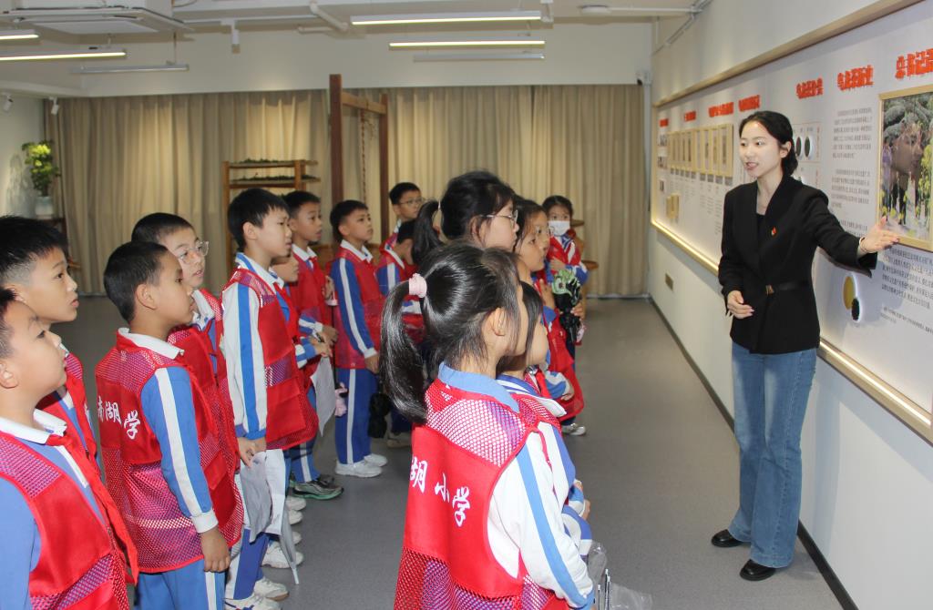 深圳市南湖小学开展“每周半天计划”课外实践活动