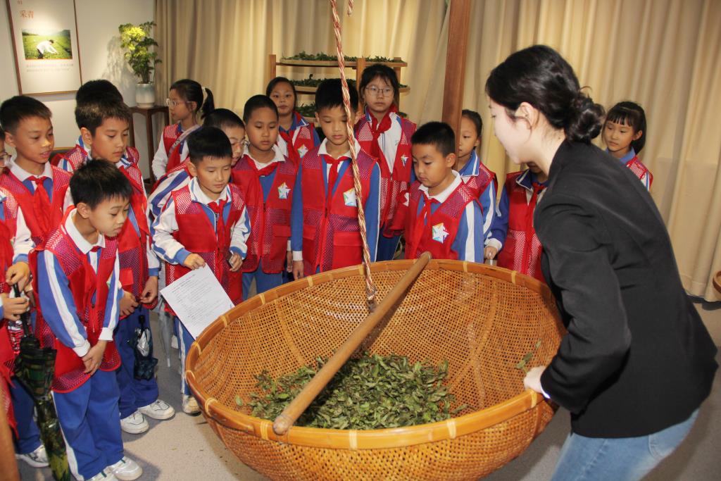 深圳市南湖小学开展“每周半天计划”课外实践活动