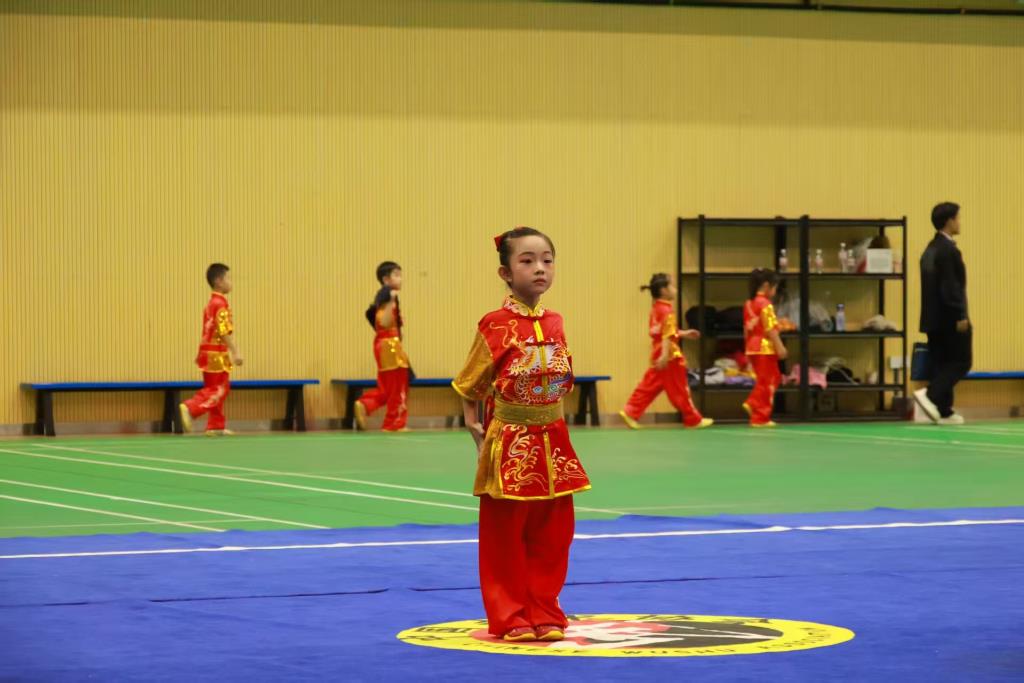 武术队在市级锦标赛摘金夺银