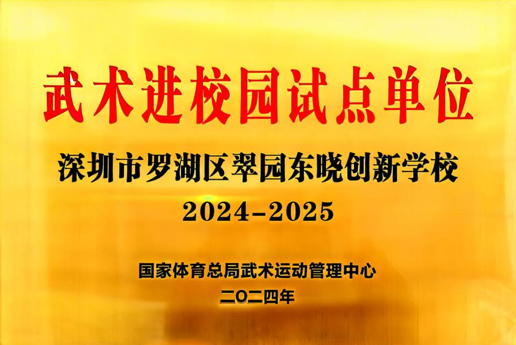 武术队在市级锦标赛摘金夺银