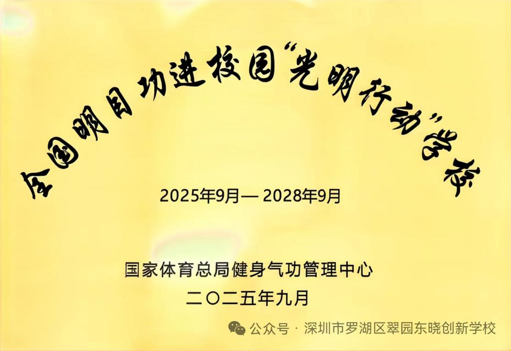 武术队在市级锦标赛摘金夺银