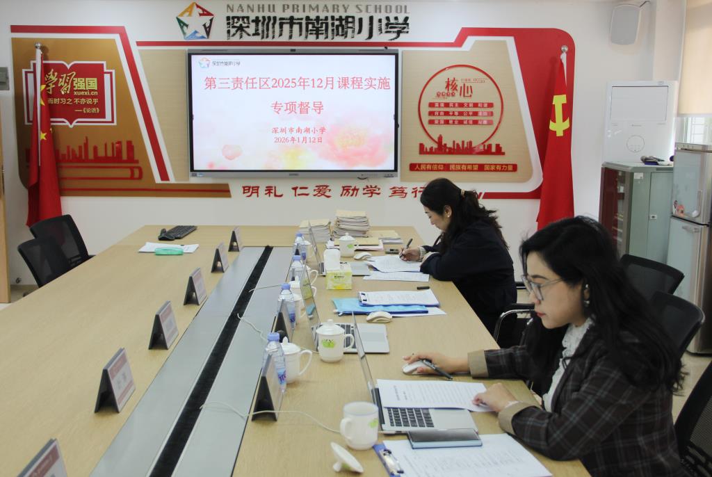 第三责任区督导组赴深圳市南湖小学开展专项督导