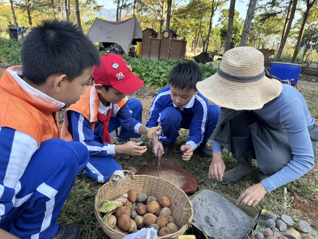 种植