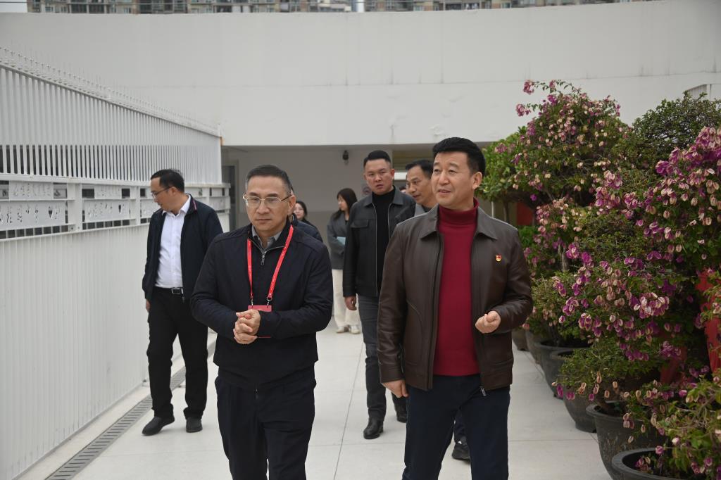 市区人大代表调研组到桂园中学进行视察