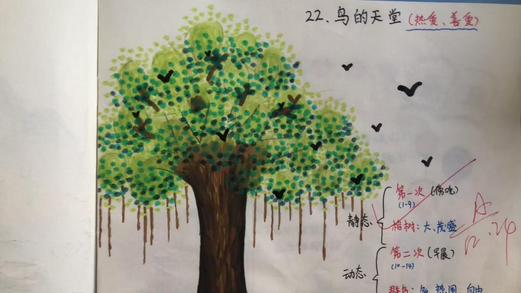 作业展示