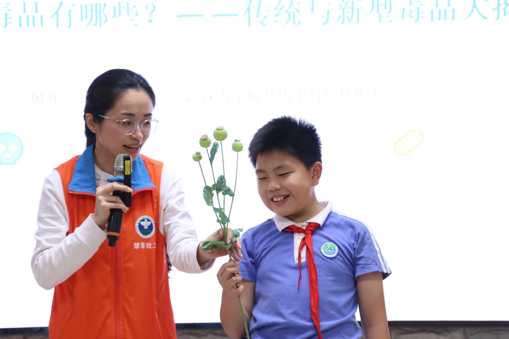 深圳太白实验学校禁毒主题活动纪实