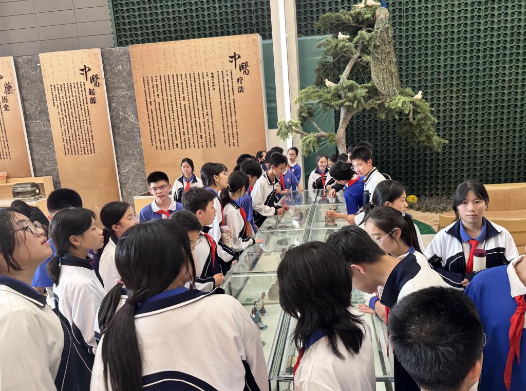 深北莫附属布心中学开展中医药文化红色研学活动