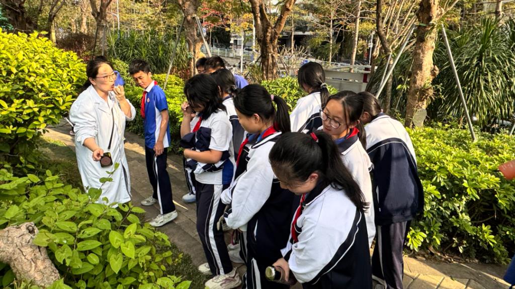 深北莫附属布心中学开展中医药文化红色研学活动