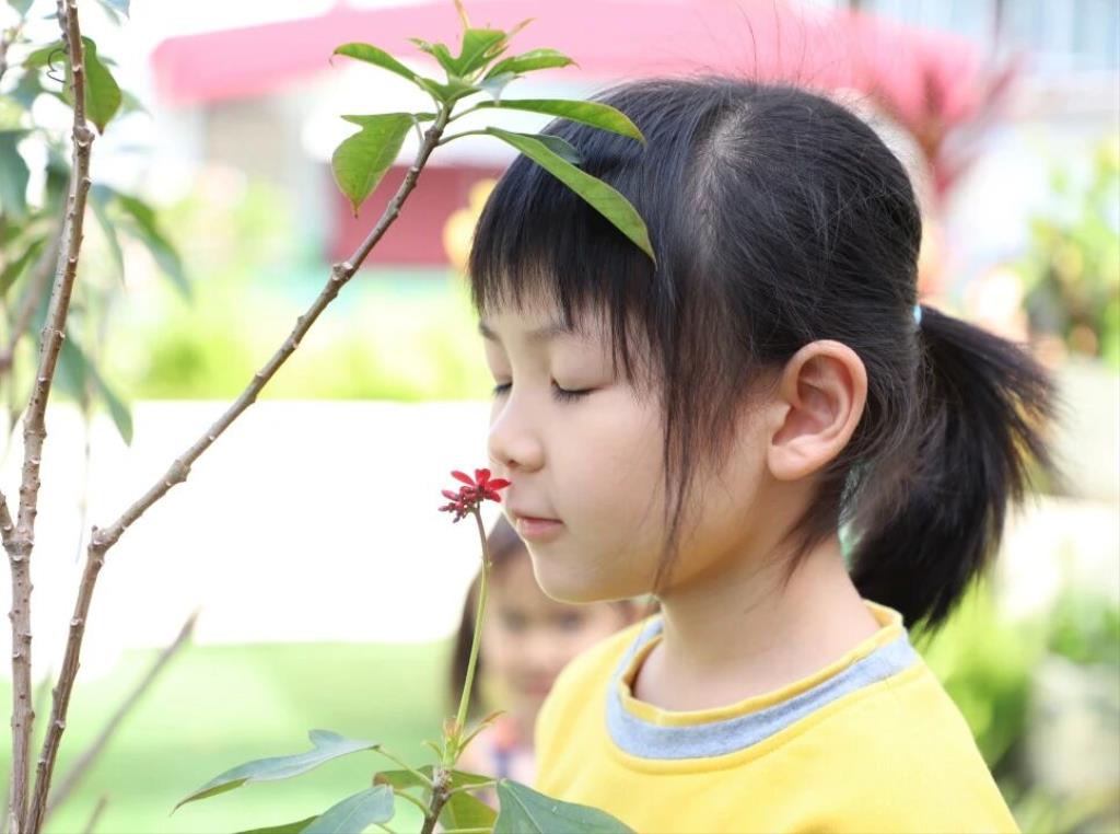 活动照片